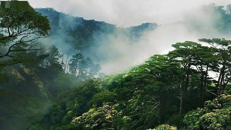 逗小猴开心系列178